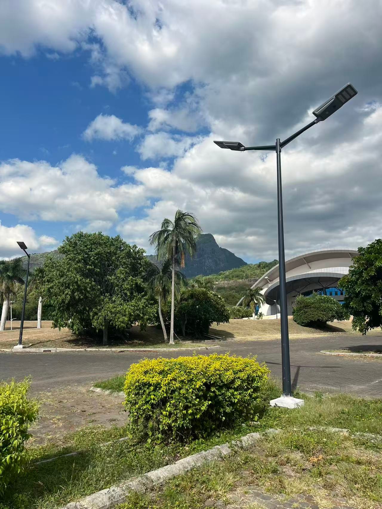 Iluminación vial en avenida urbana
